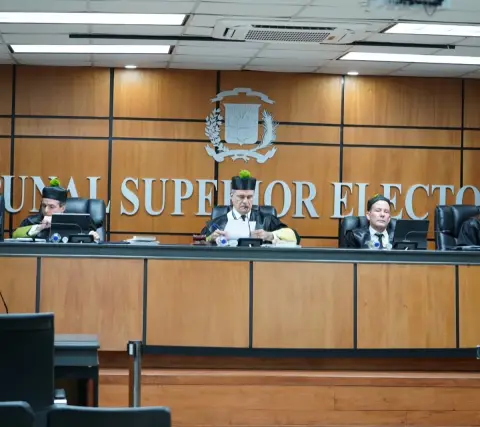 TSE aplaza al 15 de septiembre demanda contra 33 partidos minoritarios