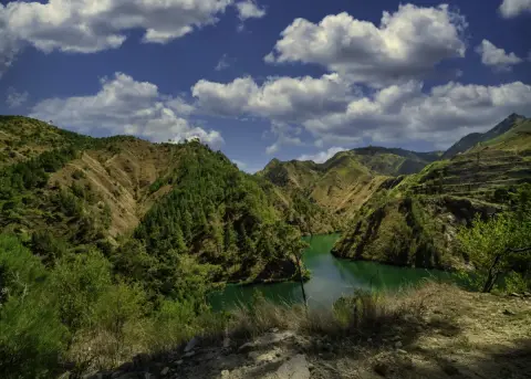 Gobierno dominicano fortalece medidas contra el terrorismo medioambiental mediante decreto