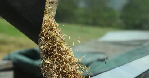 Gobierno dominicano impulsa mecanización agrícola para fortalecer la producción nacional