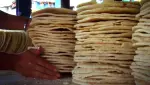 Escasez de yuca amarga paraliza la producción de casabe en Monción