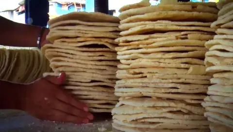 Escasez de yuca amarga paraliza la producción de casabe en Monción